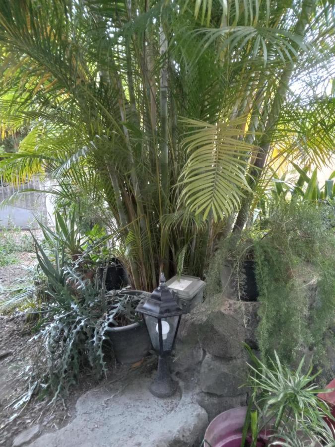 Villa Le Jardin Saint-Leu Esterno foto