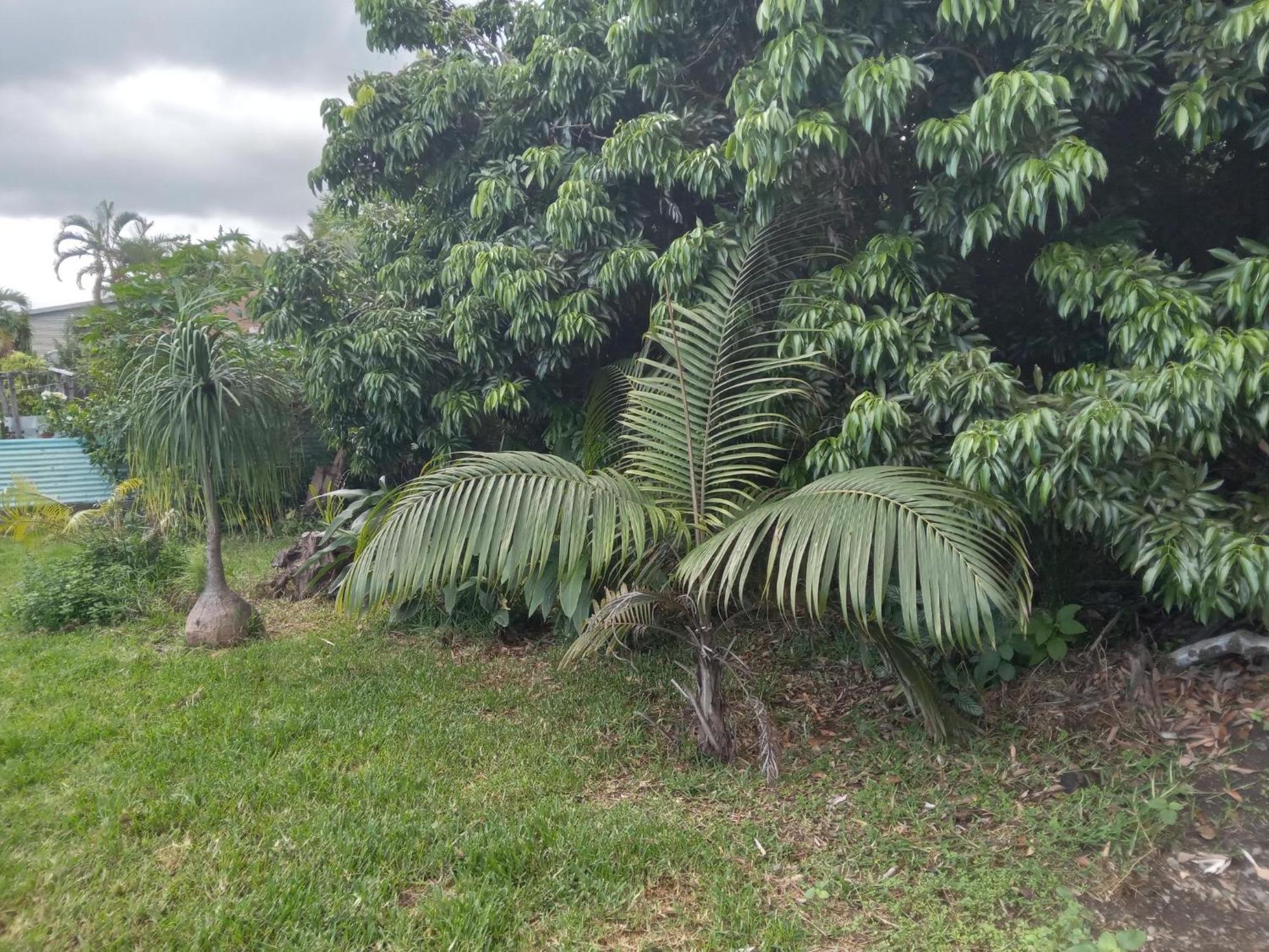 Villa Le Jardin Saint-Leu Esterno foto